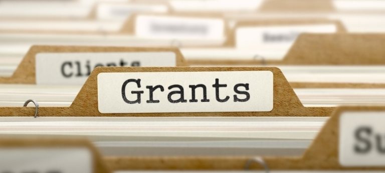 Government Business Grants